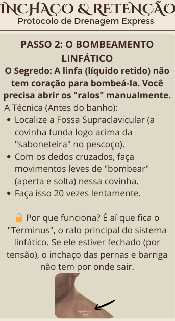 Página 2 - Protocolos